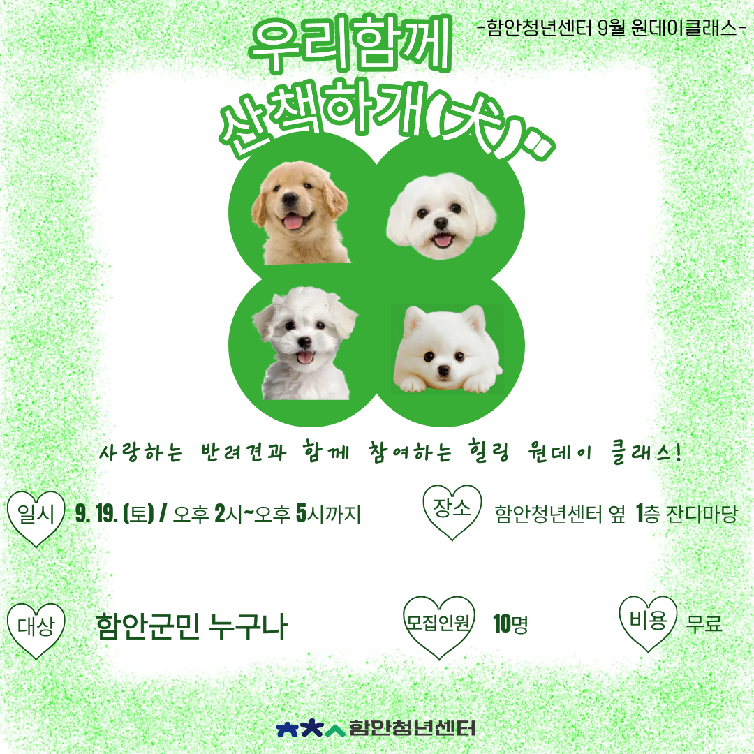 금융교육